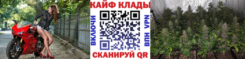 Купить наркотики Усинск Бошки Шишки  Меф мяу мяу  APVP  NBOMe  ГАШИШ  MDMA 