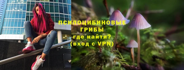 винт Армянск